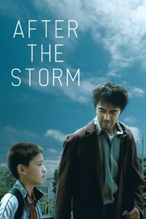 دانلود فیلم After the Storm 2016 بدون سانسور با پخش آنلاین