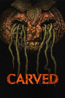 دانلود فیلم Carved 2024 بدون سانسور با پخش آنلاین