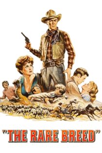 دانلود فیلم The Rare Breed 1966 بدون سانسور با پخش آنلاین