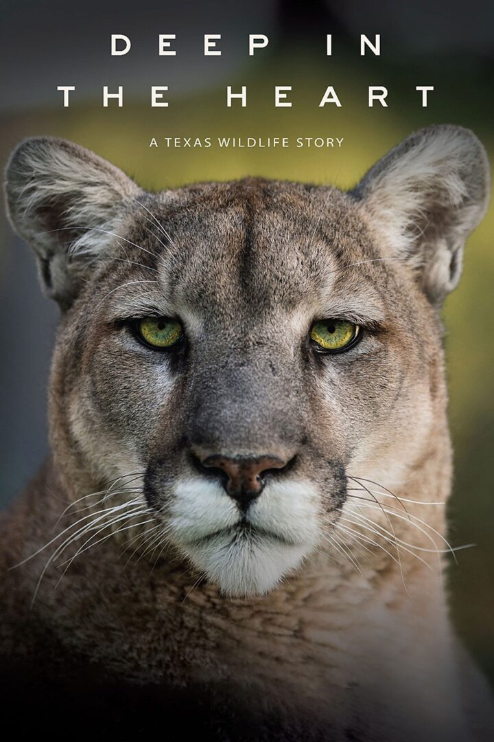 دانلود فیلم Deep in the Heart: A Texas Wildlife Story 2022 بدون سانسور با پخش آنلاین