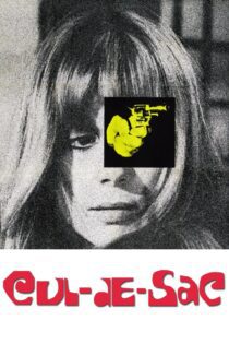 دانلود فیلم Cul-de-sac 1966 بدون سانسور با پخش آنلاین