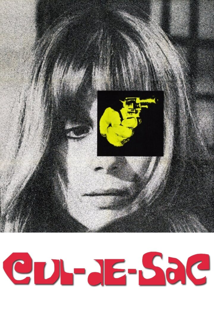 دانلود فیلم Cul-de-sac 1966 بدون سانسور با پخش آنلاین