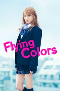 دانلود فیلم Flying Colors 2015 بدون سانسور با پخش آنلاین