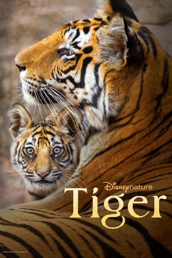 دانلود فیلم Tiger 2024 بدون سانسور با پخش آنلاین