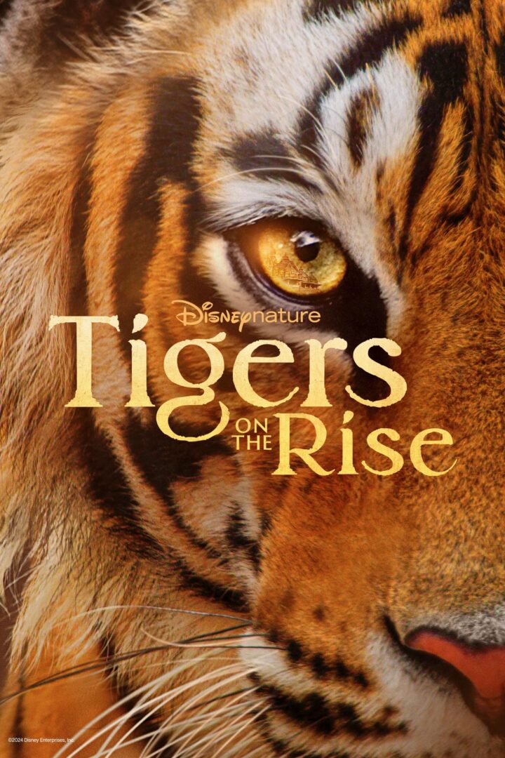 دانلود فیلم Tigers on the Rise 2024 بدون سانسور با پخش آنلاین