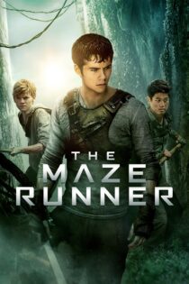 دانلود فیلم The Maze Runner 2014 بدون سانسور با پخش آنلاین دانلود فیلم The Maze Runner 2014 بدون سانسور با پخش آنلاین