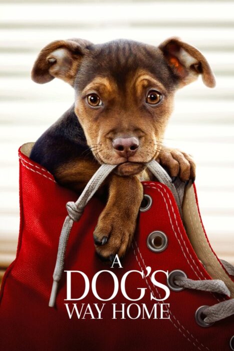 دانلود فیلم A Dog’s Way Home 2019 بدون سانسور با پخش آنلاین