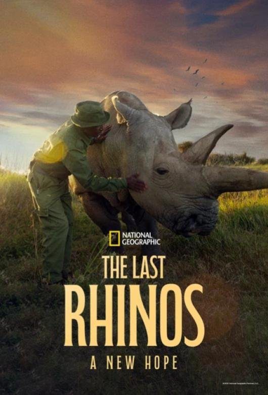 دانلود فیلم The Last Rhinos: A New Hope 2025 بدون سانسور با پخش آنلاین دانلود فیلم The Last Rhinos: A New Hope 2025 بدون سانسور با پخش آنلاین