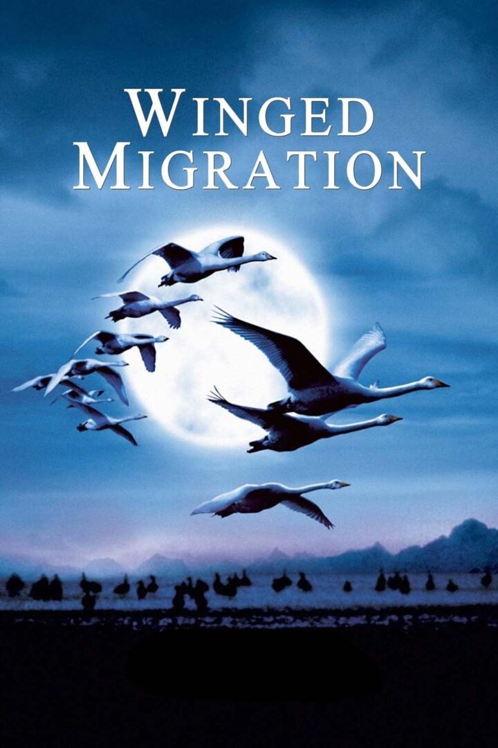 دانلود فیلم Winged Migration 2001 بدون سانسور با پخش آنلاین