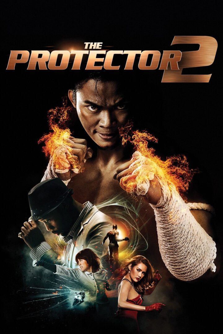 دانلود فیلم The Protector 2 2013 بدون سانسور با پخش آنلاین