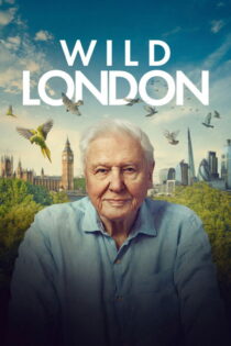 دانلود مستند Wild London 2026 بدون سانسور دانلود مستند Wild London 2026 بدون سانسور