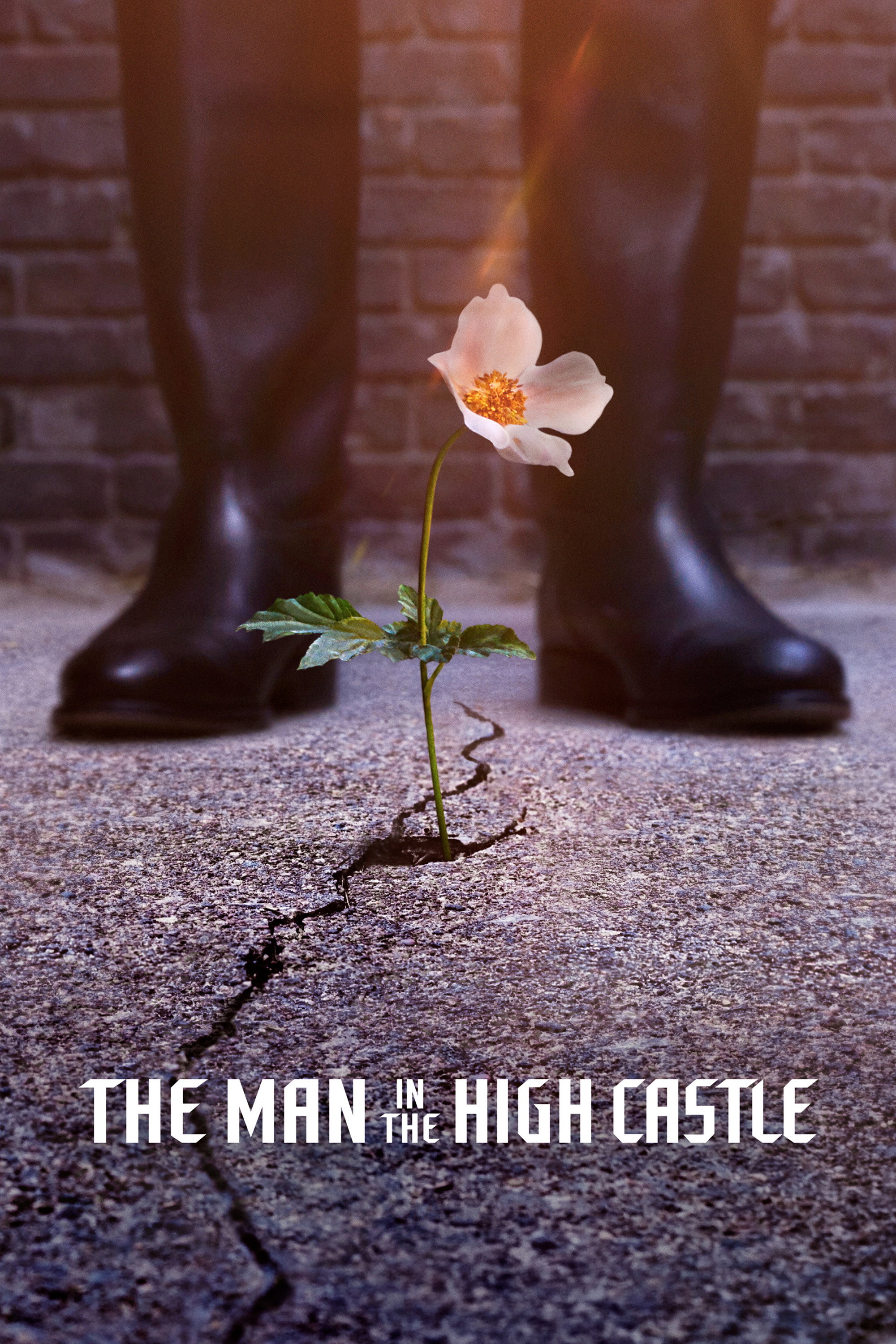 دانلود سریال The Man in the High Castle بدون سانسور